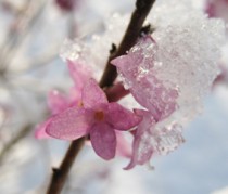 Karfreitag – Ostern